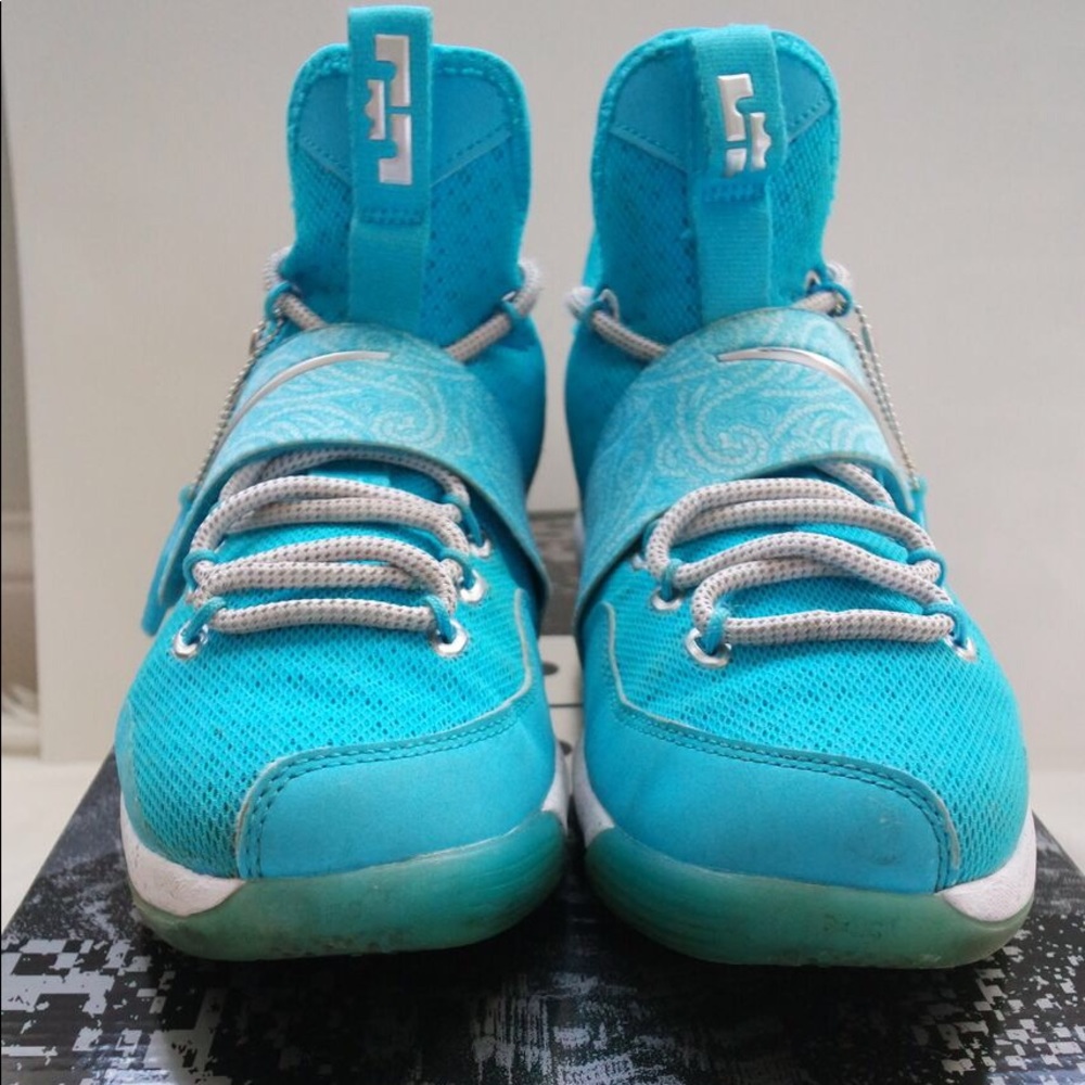 Nike Lebron XIV HWC